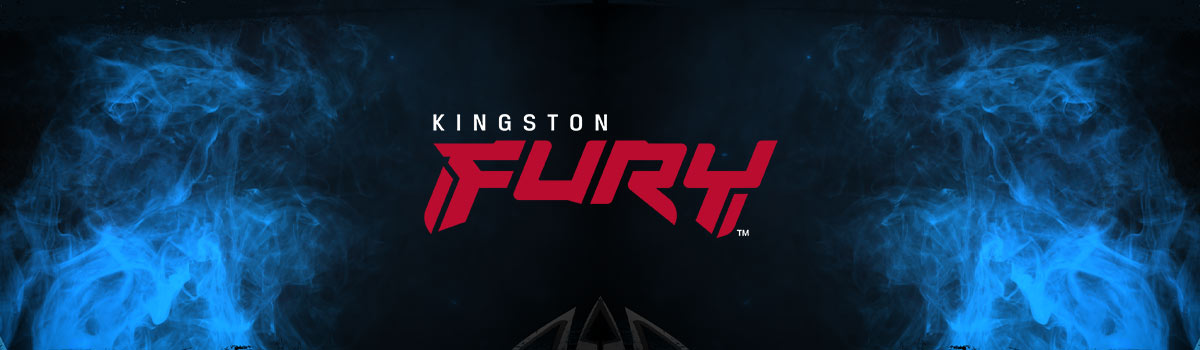 Partnership with Kingston FURY